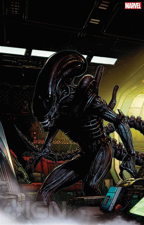 aliens vs predator comics|alien vs predator 2021.